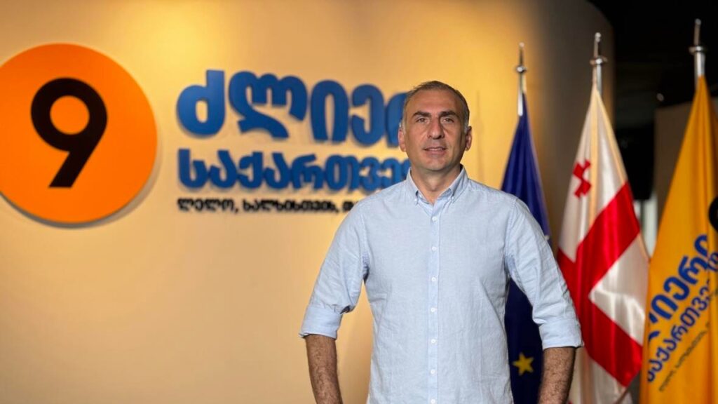 ლელო: ალეკო ელისაშვილი ივანიშვილის რეჟიმის პოლიტიკური პატიმარია