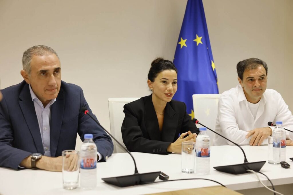 ქვრივიშვილმა ელექტროსიტემის თანამშრომლებს ახალი ხელმძღვანელი დავით ვარდიაშვილი წარუდგინა.