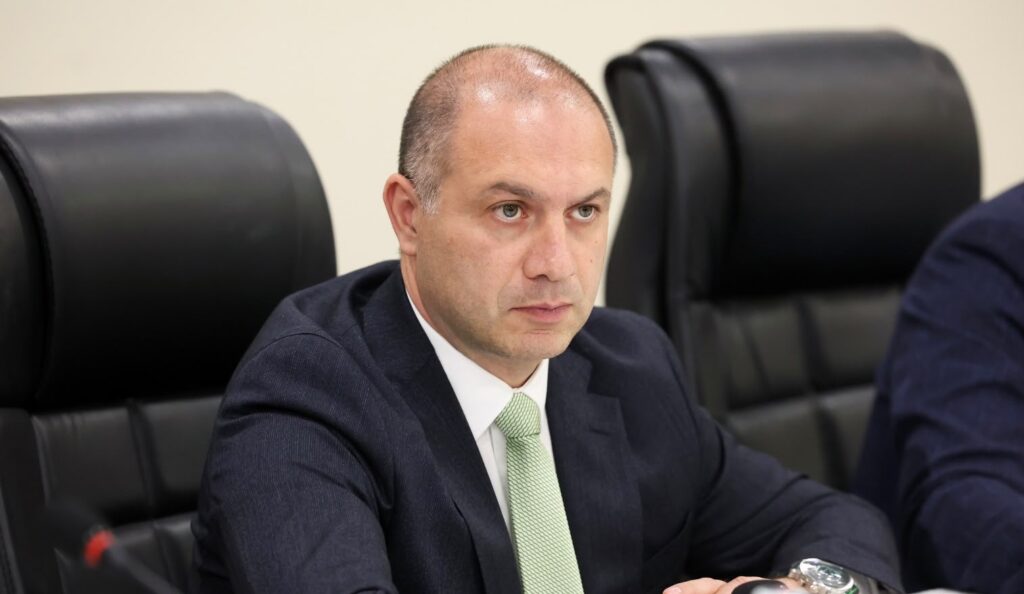 მიქანაძე: გვინდა, პროფესიული სწავლების გარკვეული პროგრამები აღიარებული იყოს და ჩაითვალოს უმაღლესის შესაბამის მიმართულებებში