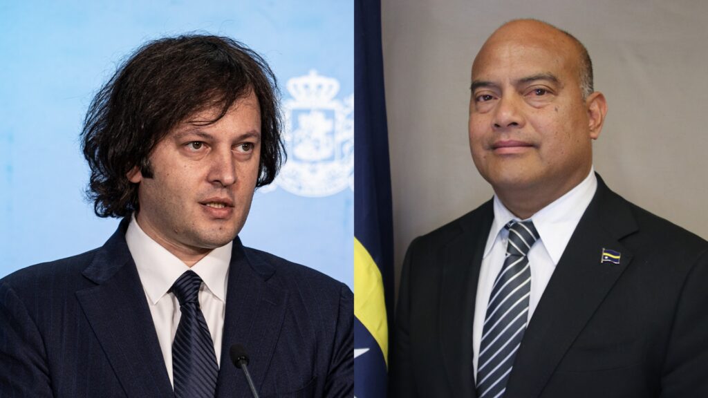 „მზადყოფნა გამოთქვა დიპლომატიური ურთიერთობების დამყარების მიზნით მოლაპარაკებების დასაწყებად“ - კობახიძე ნაურუს პრეზიდენტს ესაუბრა
