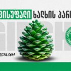 „ბოლო წლებში კიდევ ორ პარტიას დაერქვა ეს სახელი" - „გირჩი” სახელს იცვლის
