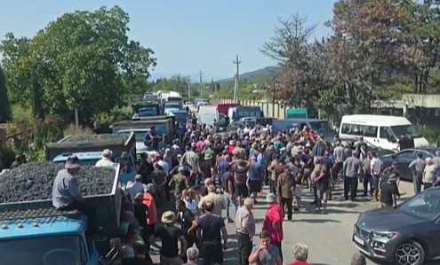 მევენახეების პროტესტის შემდეგ ღვინის ეროვნულ სააგენტოს ჩასაბარებელი ყურძნის ფასში ცვლილება შეაქვს