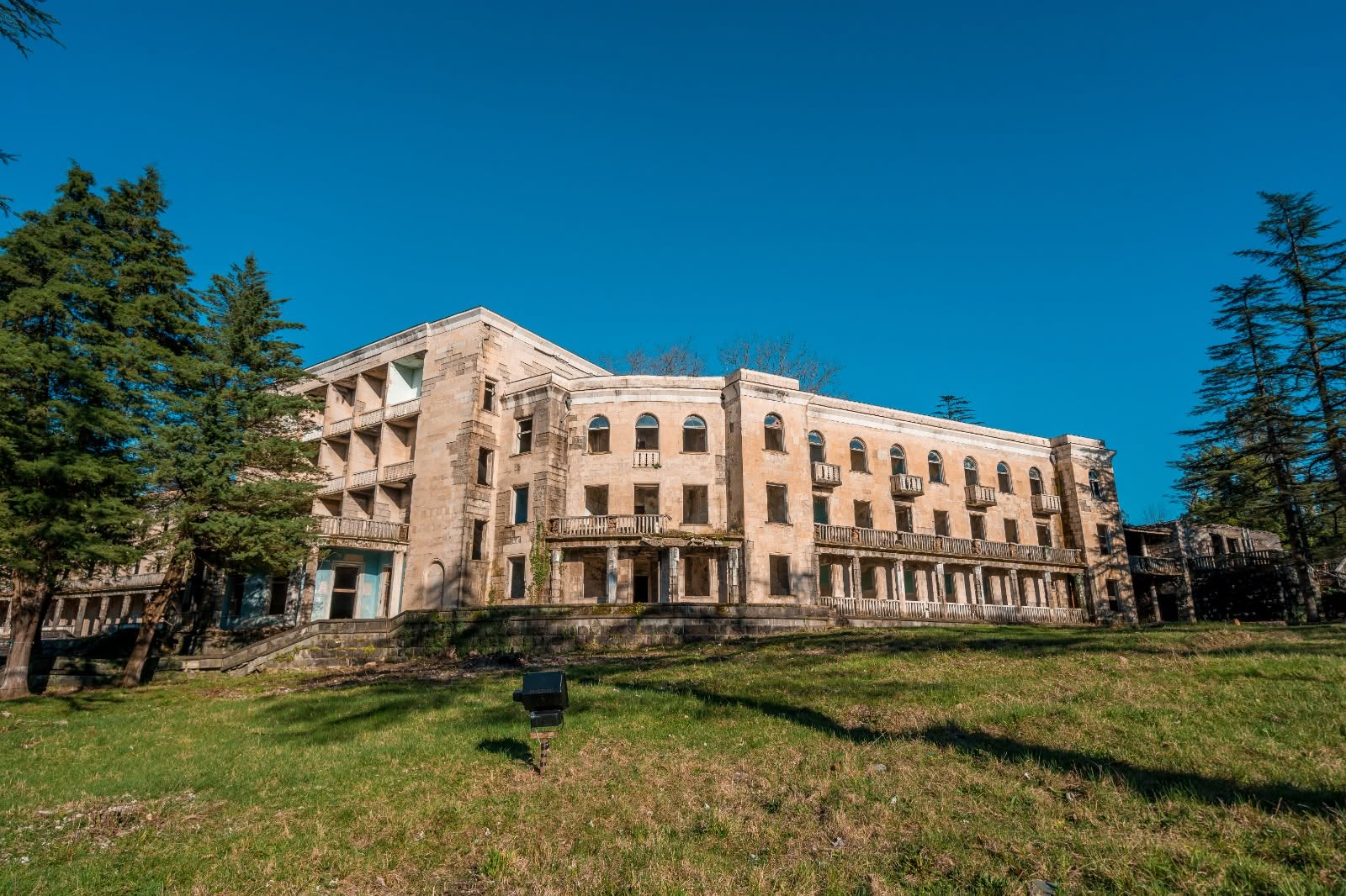 სავანე