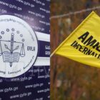 Amnesty და საია ხელისუფლებას მოუწოდებენ, დაასრულოს დაუსჯელობა ციხეებში წამების შემთხვევებზე